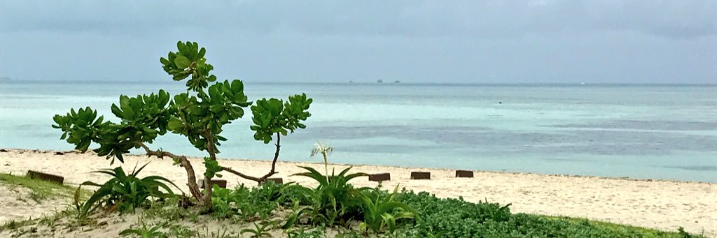 minamaru375's profile banner image