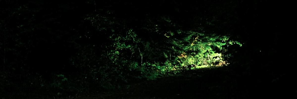 PeaksFreaks's profile banner image