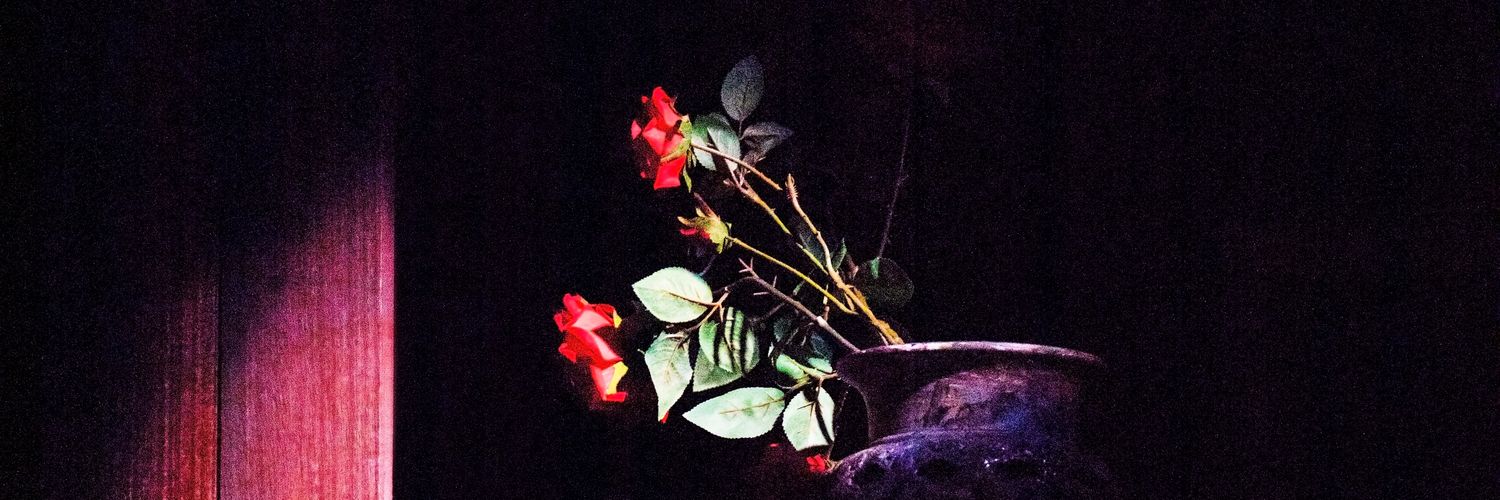 Raputi_R's profile banner image