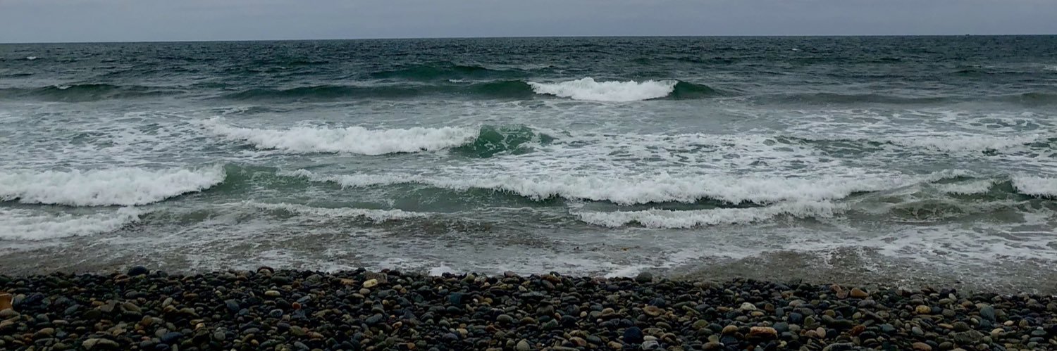 PaolaTenaa__'s profile banner image