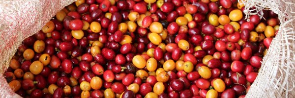 carrowcoffee Profile Banner