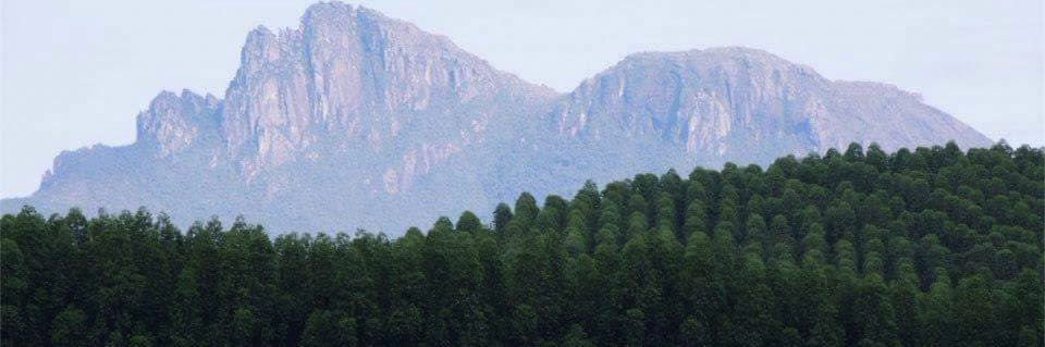 joaoleiso58's profile banner image