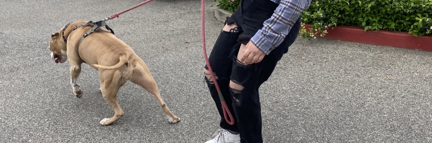 taylorhavenss's profile banner image