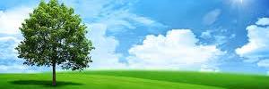 FMMECO's profile banner image