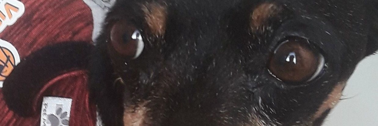jdbenigna's profile banner image