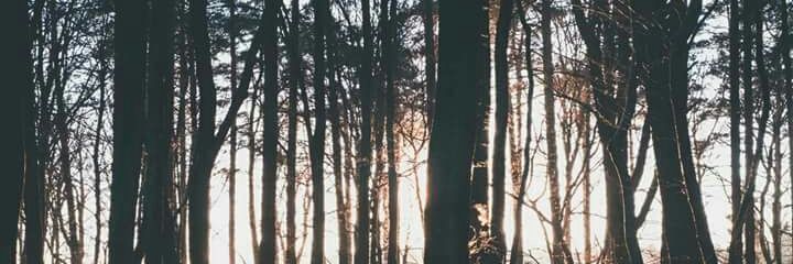 kimaaann's profile banner image
