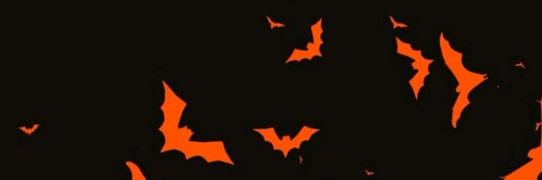 ShiaraSernaM's profile banner image