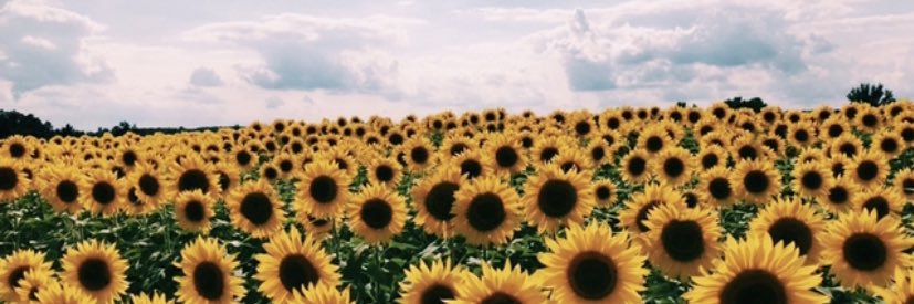 saigebrush21's profile banner image