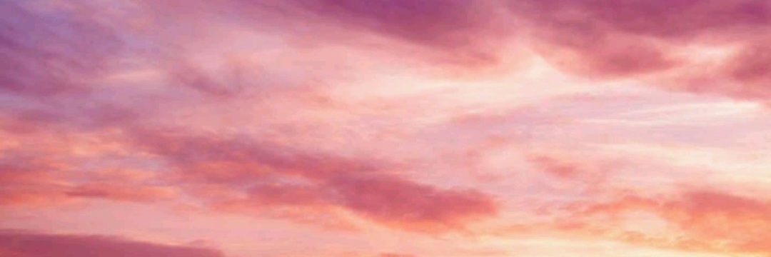 Rodriguez__Lu's profile banner image