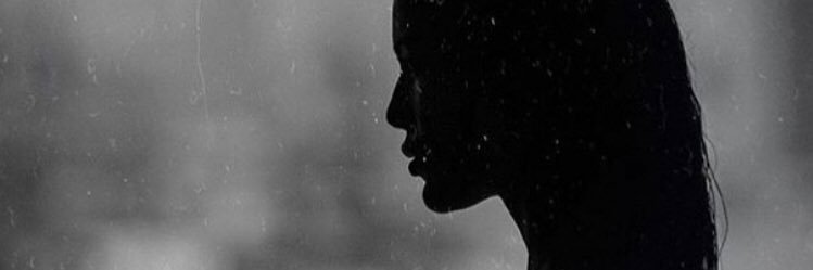 polibernice's profile banner image