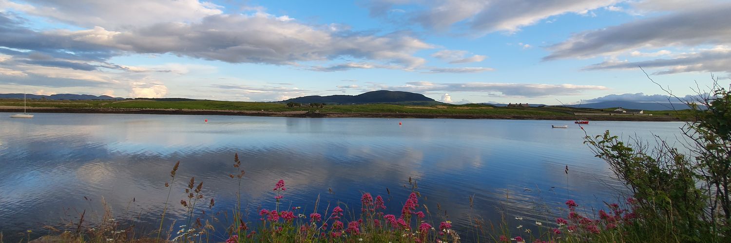 Daniel J Brady banner