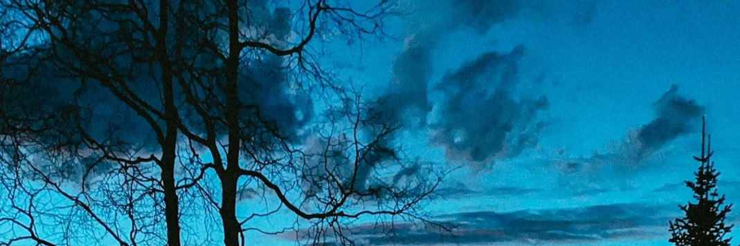 allilindner_'s profile banner image
