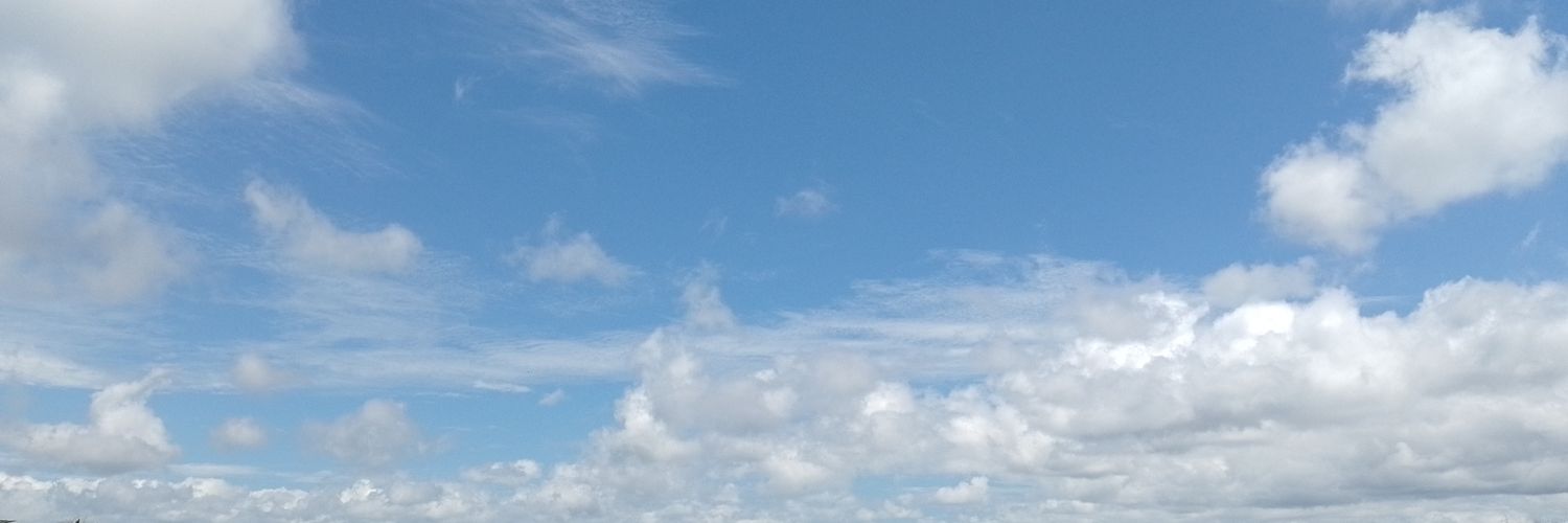 YammiRodriguez8's profile banner image