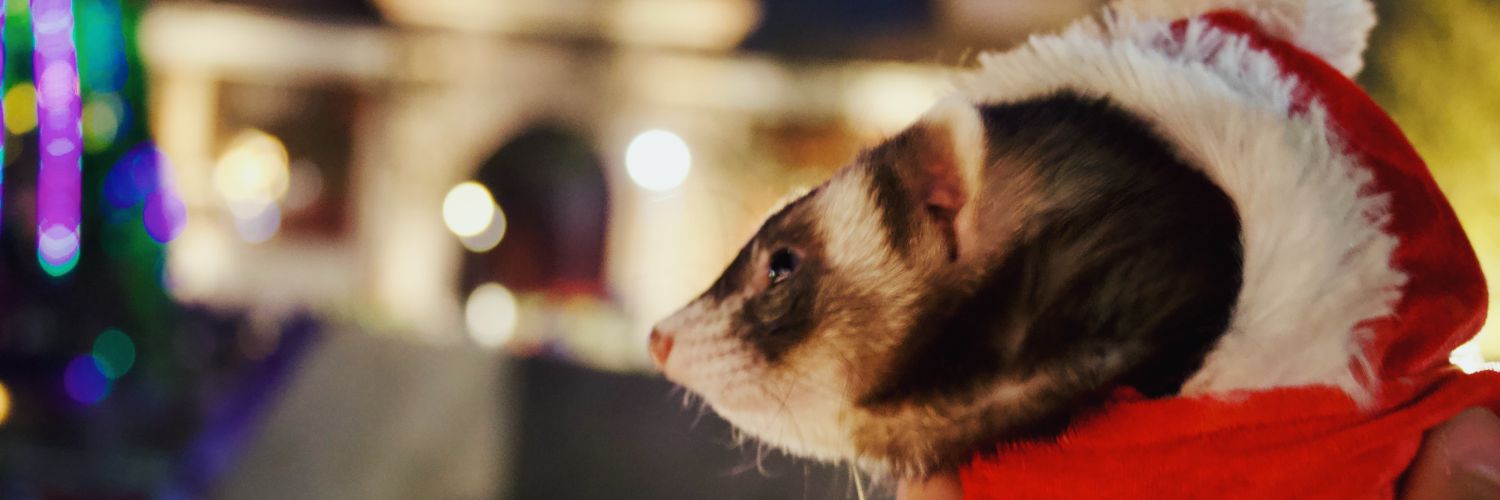 jonharamrez's profile banner image
