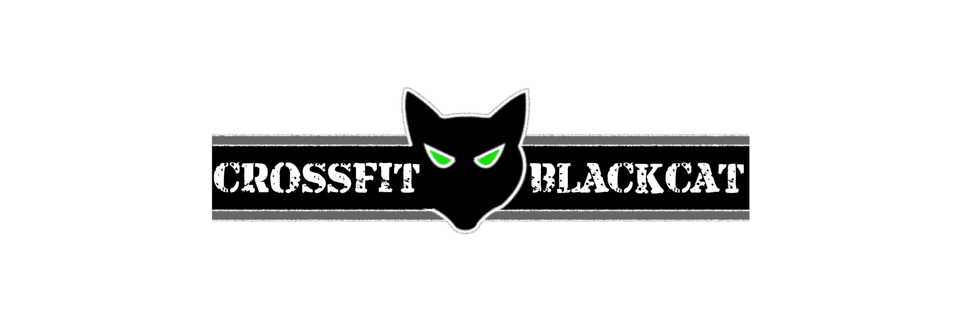 CFBlackCat's profile banner image