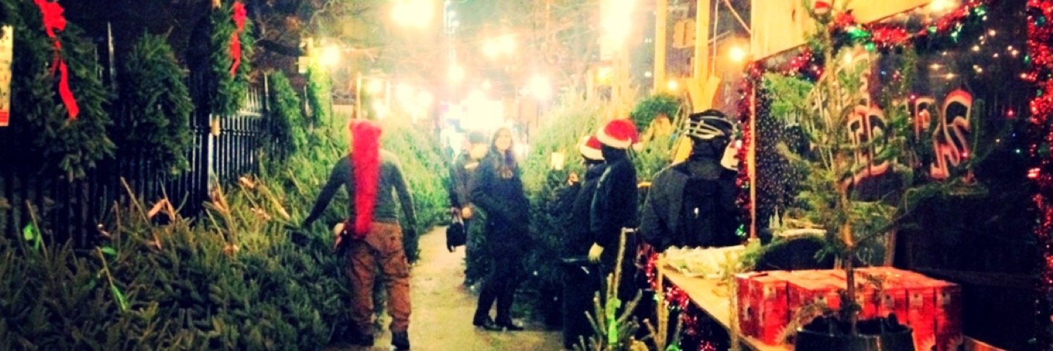 TreeRidersNYC's profile banner image