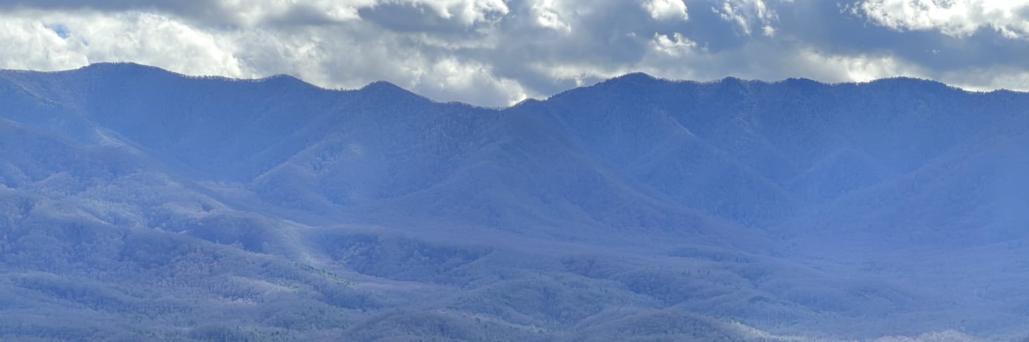 Macelford's profile banner image