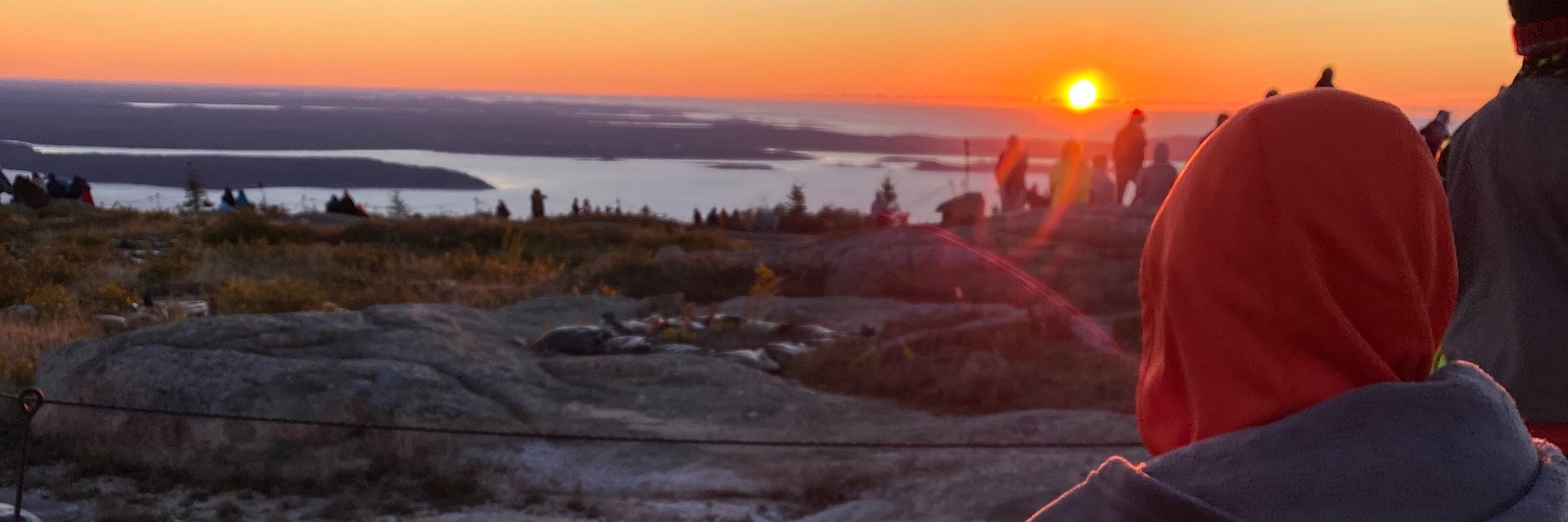 majabirgitd's profile banner image