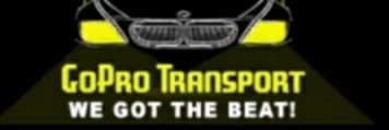GoProLimo's profile banner image