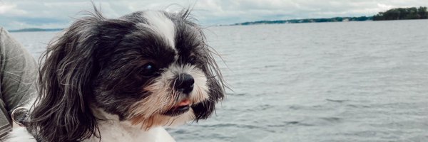 emcorrell Profile Banner