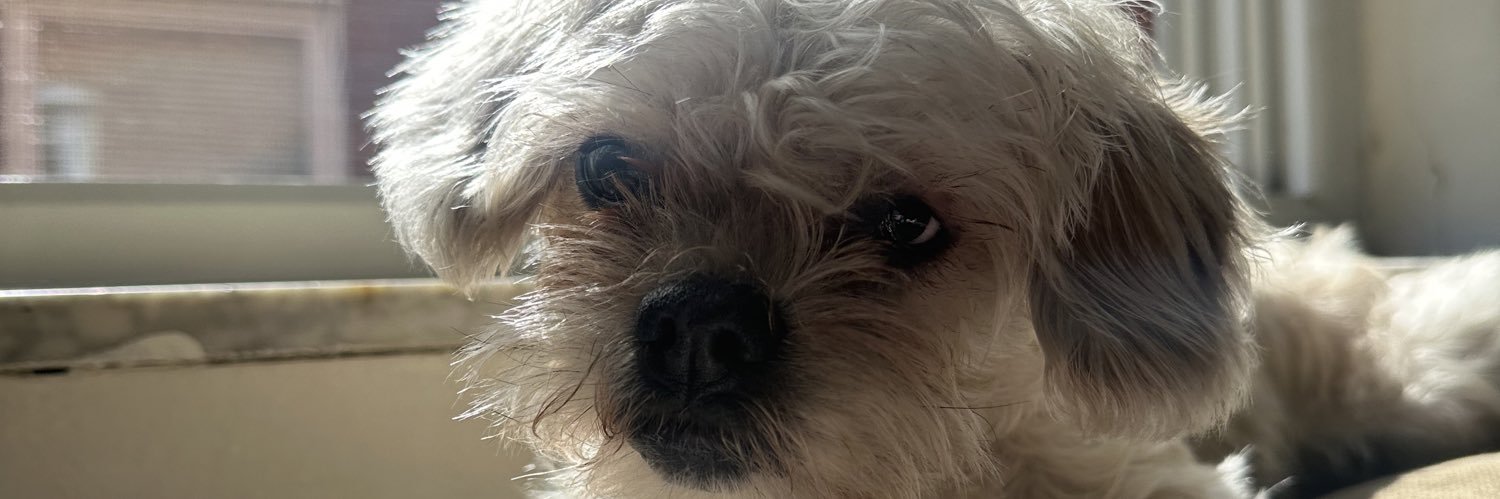 sammydoo16's profile banner image