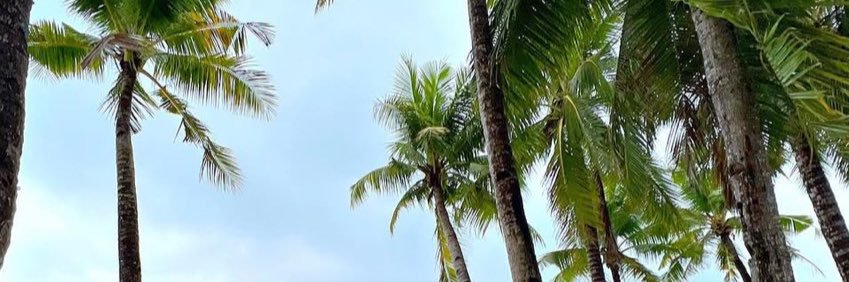 mrtenoso's profile banner image