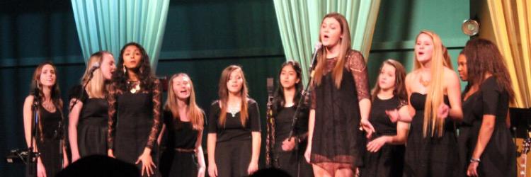 dhsacaladies's profile banner image