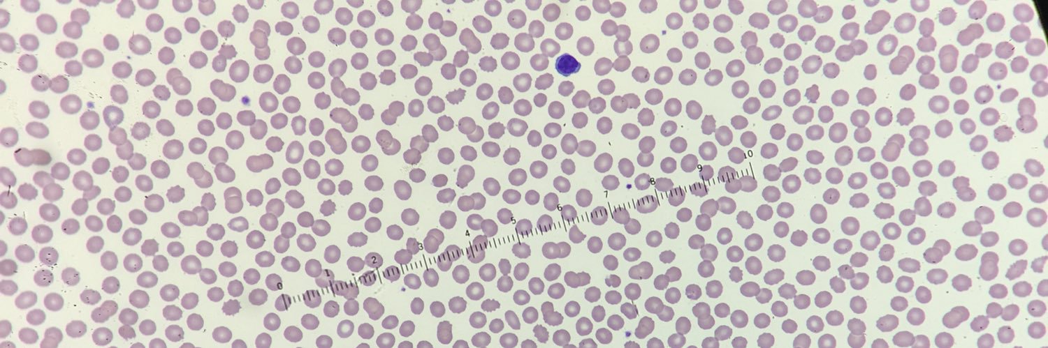 Riten Kumar, MD, MSc banner