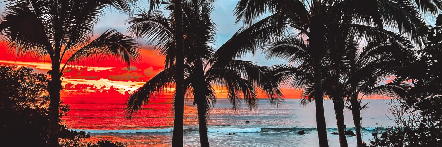 fernandapradoc1's profile banner image