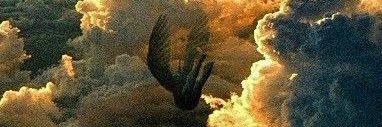 Brennan banner