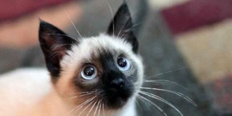 yisel_najera's profile banner image
