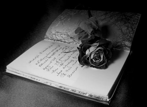 ____ouk_f's profile banner image