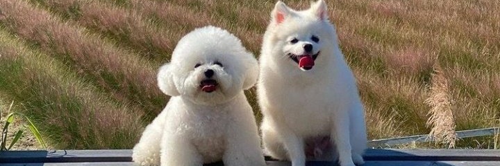 adity_____'s profile banner image