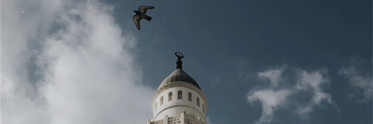 Putri octaviani banner