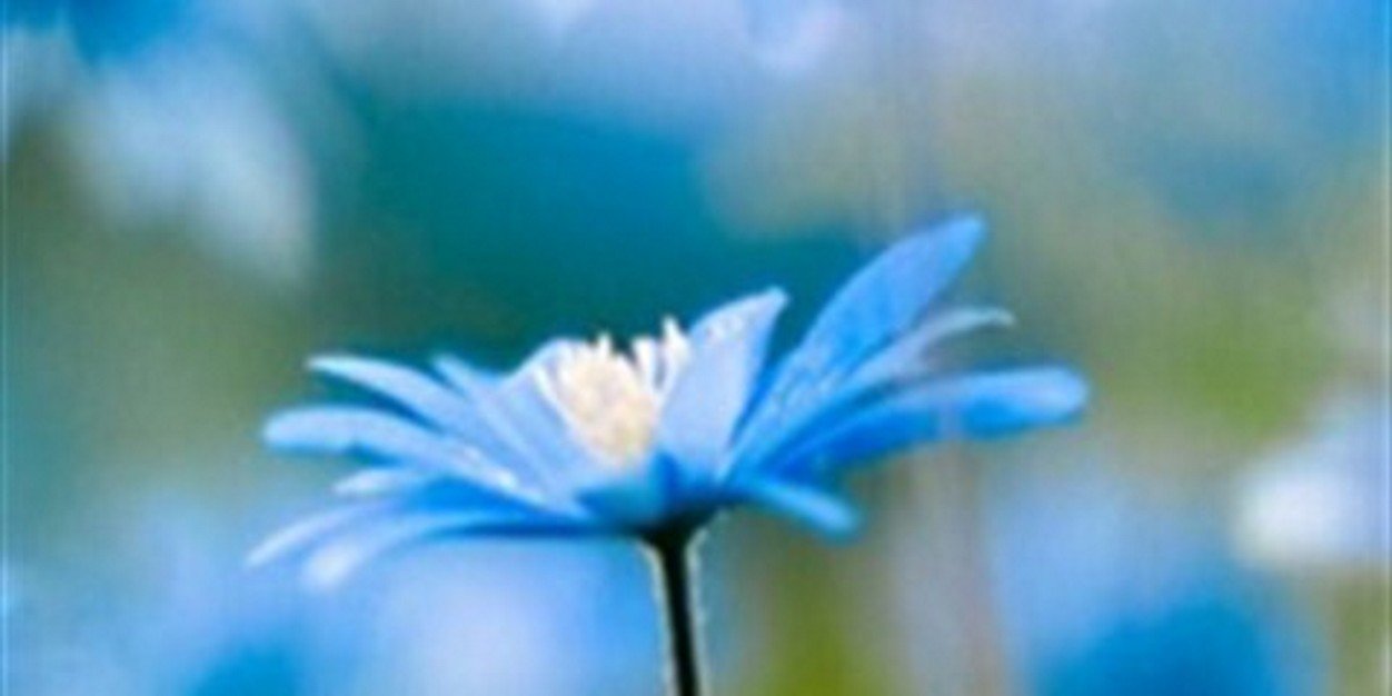 panic_withmisti's profile banner image