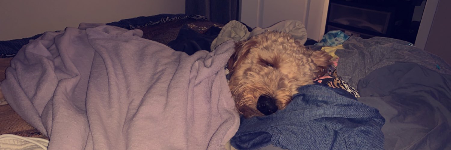 Ronnie McBride banner