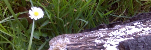 tinasanchezla's profile banner image