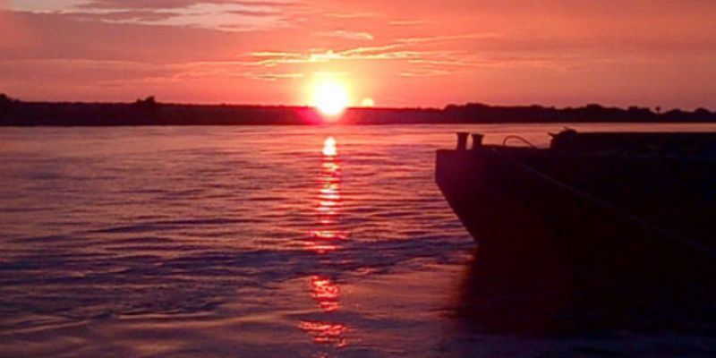 darwinchavez001's profile banner image