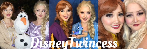Disney Twincess Profile Banner