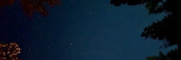 tlwither Profile Banner