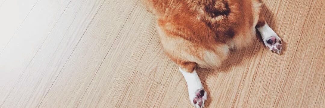 BAEKKEAB_'s profile banner image