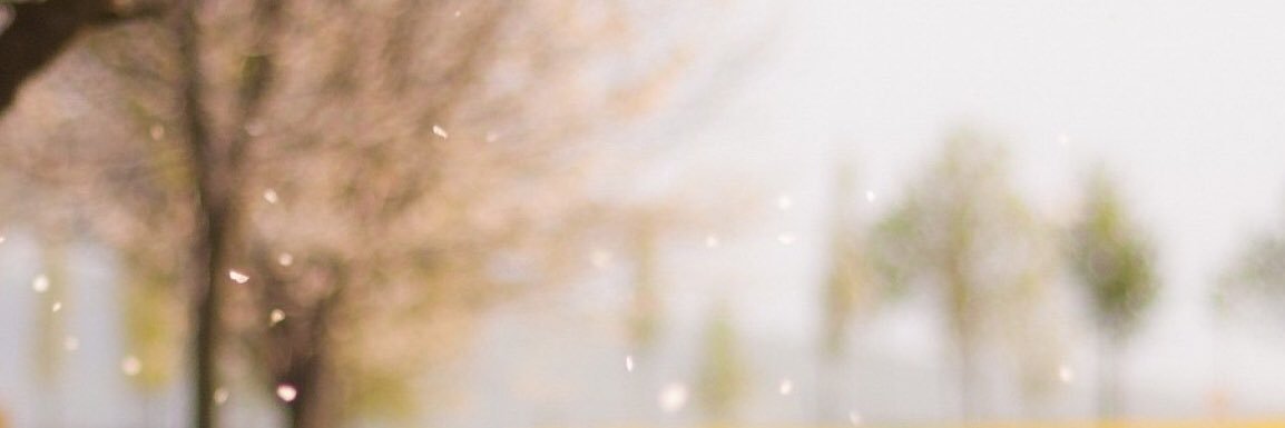 DanyFdz's profile banner image