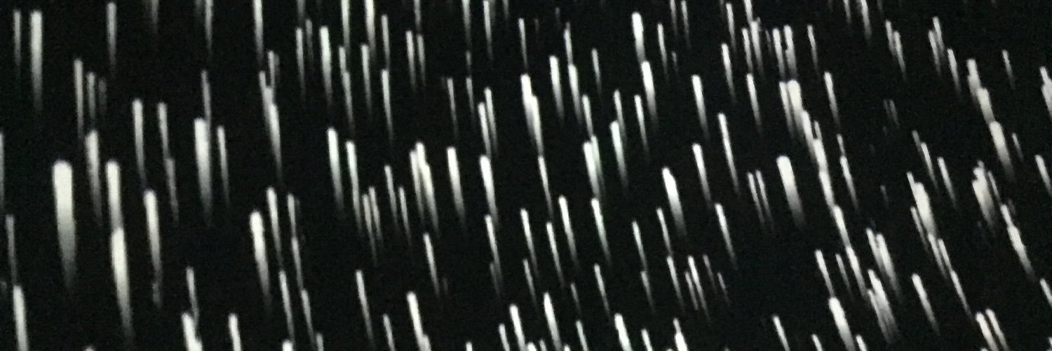 olyavetrova1991's profile banner image