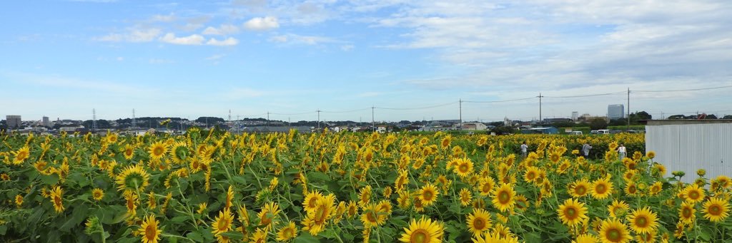 hiroki0502ZAMA's profile banner image