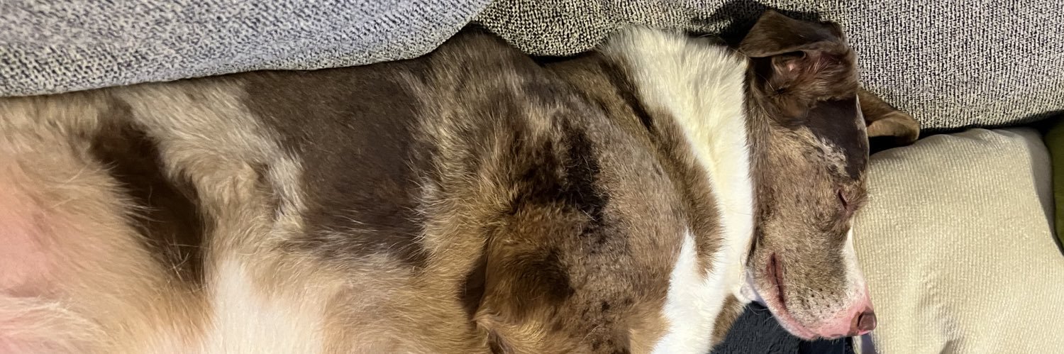 nocody0's profile banner image