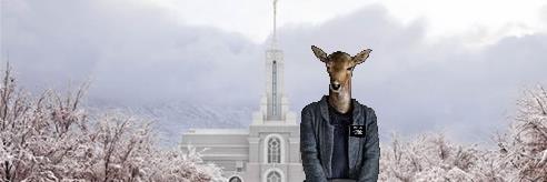 LDSAnimals's profile banner image