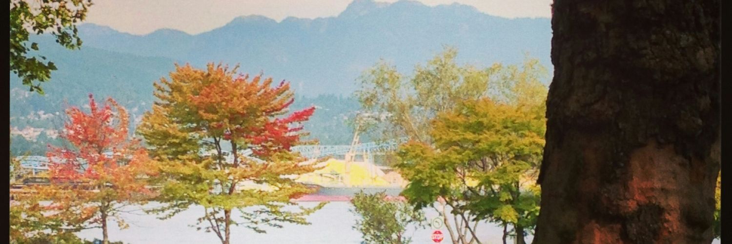 Belfi's profile banner image