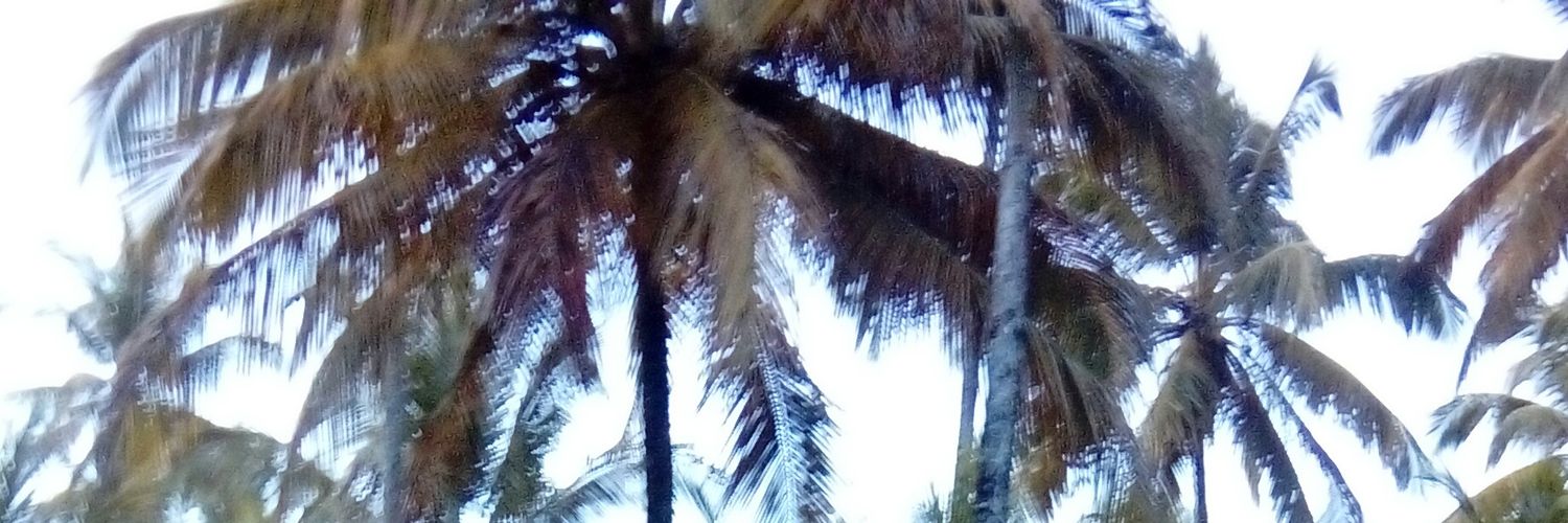 joaquinMSoler's profile banner image