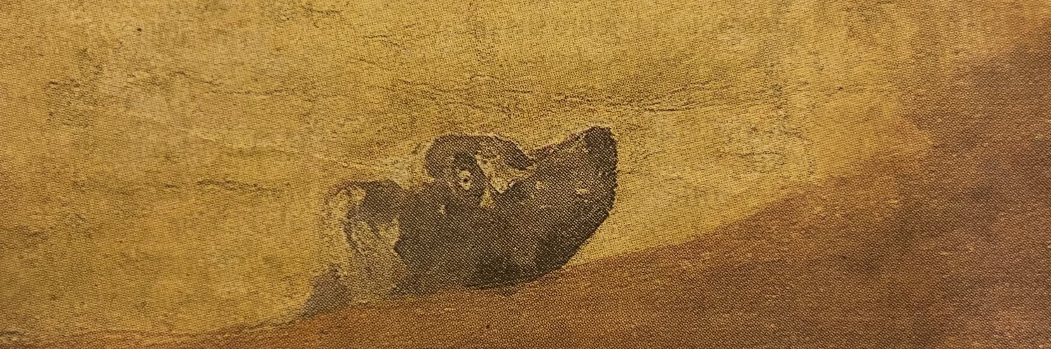 gsanchezmillor's profile banner image