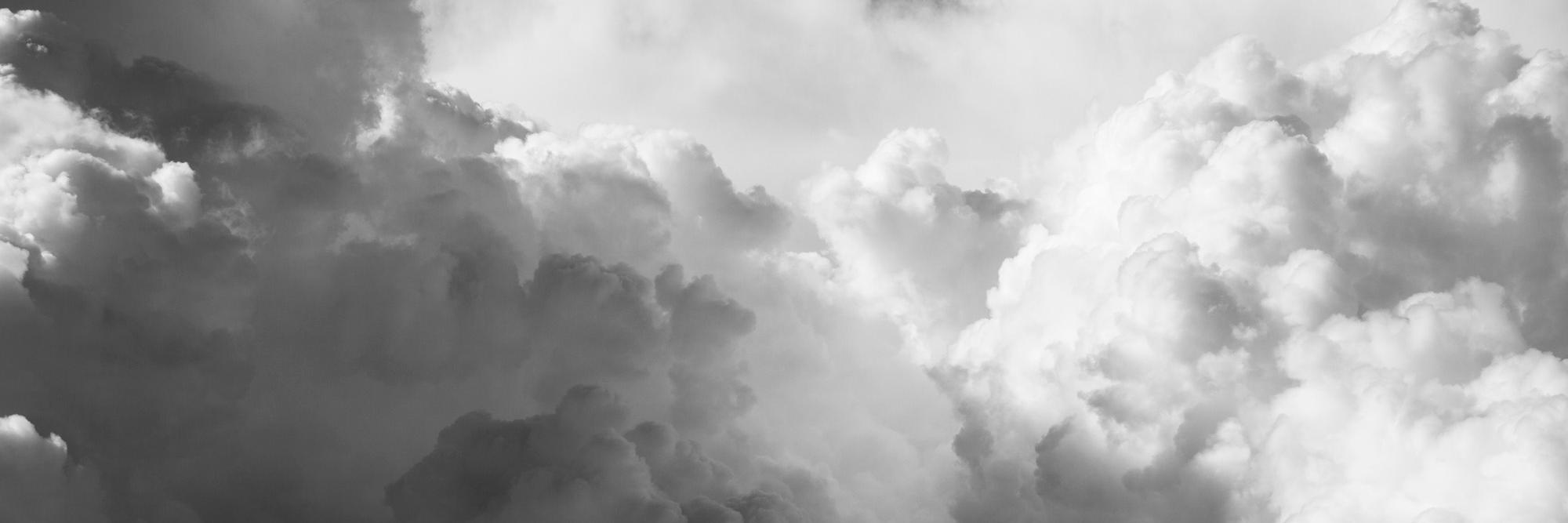 idavidbrook's profile banner image